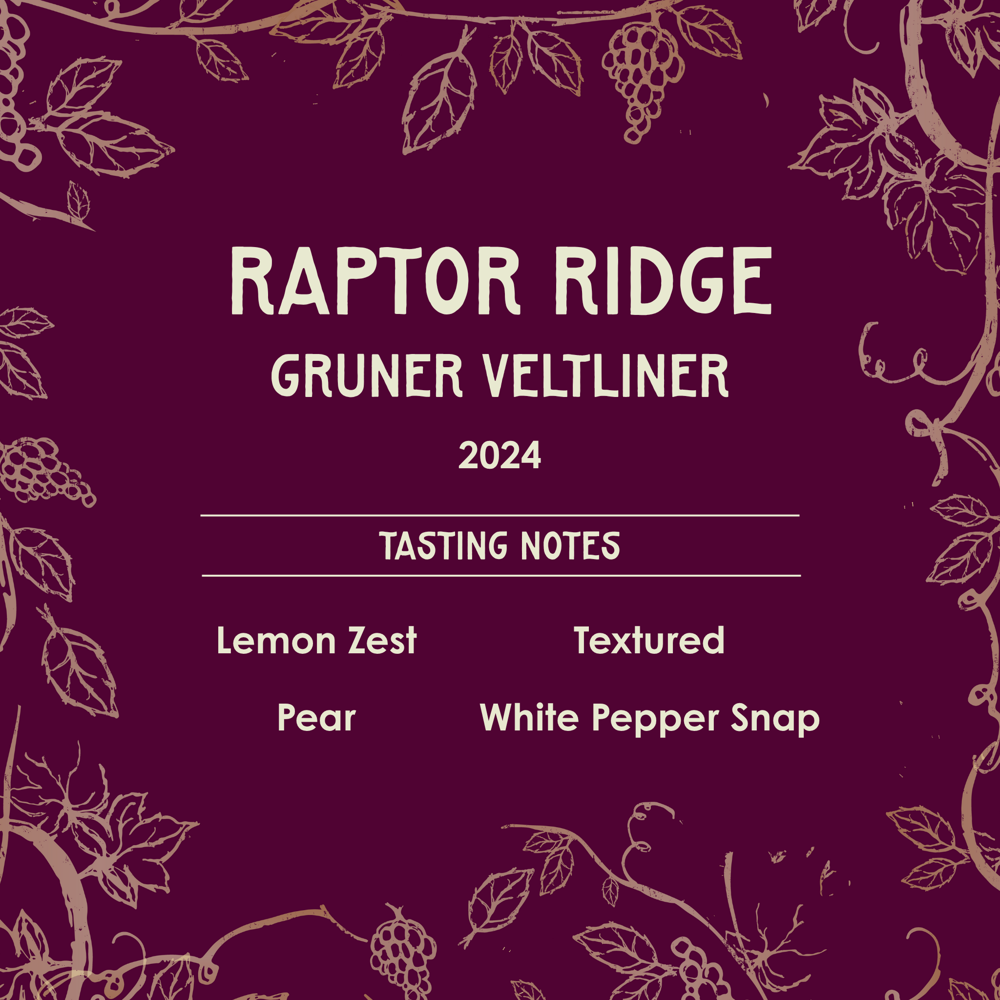 Raptor Ridge Gruner Veltliner 2024 tasting notes on a purple background with vine illustrations.